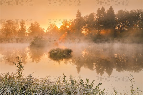 Autumnal morning mood at a pond in the nature reserve Wildert in Illnau