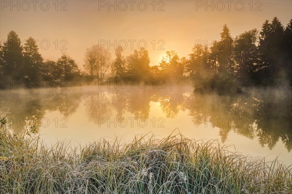 Autumnal morning mood at a pond in the nature reserve Wildert in Illnau