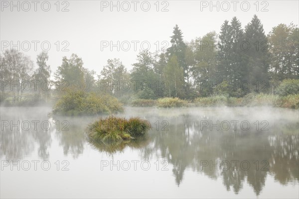 Autumn atmosphere at a pond in the Wildert nature reserve in Illnau