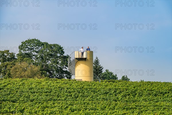 Observation tower on the vineyard at the Lindicke Winery