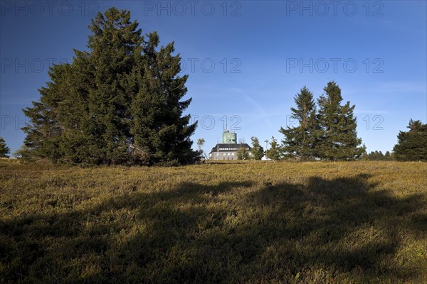 Landscape with Astenturm on the Kahler Asten