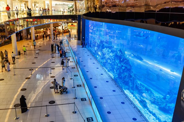 Dubai Mall Aquarium Luxury Shopping Shopping in Dubai