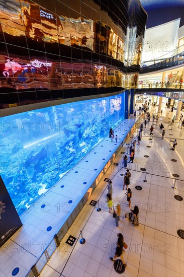 Dubai Mall Aquarium Luxury Shopping Shopping in Dubai