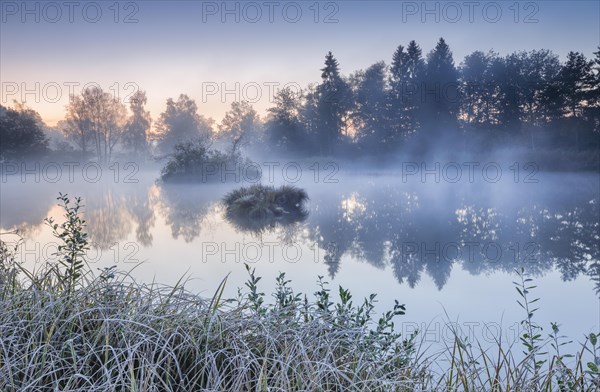 Autumnal morning mood at a pond in the nature reserve Wildert in Illnau