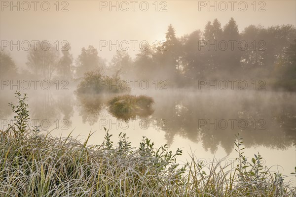 Autumnal morning mood at a pond in the nature reserve Wildert in Illnau