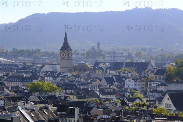 View of the Old Town and St. Peter's Church