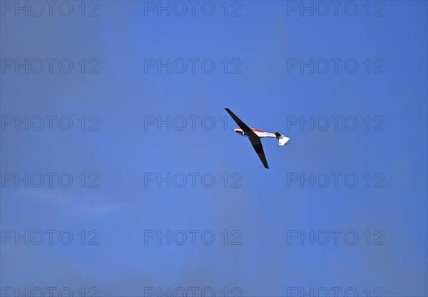 Glider Ly-542-K Stoesser