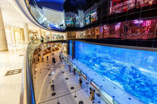 Dubai Mall Aquarium Luxury Shopping Shopping in Dubai