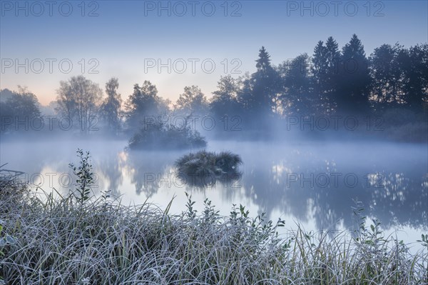 Autumnal morning mood at a pond in the nature reserve Wildert in Illnau