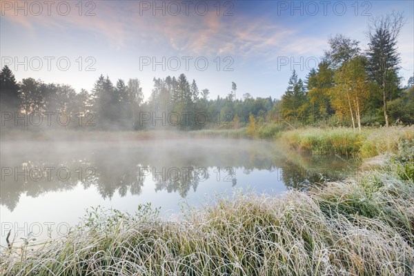 Autumnal morning mood at a pond in the nature reserve Wildert in Illnau