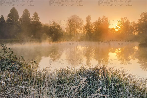 Autumnal morning mood at a pond in the nature reserve Wildert in Illnau