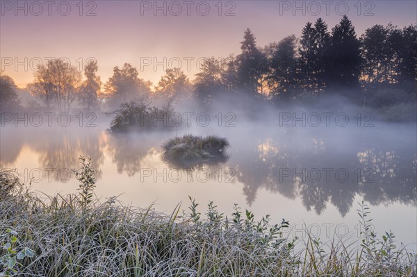 Autumnal morning mood at a pond in the nature reserve Wildert in Illnau