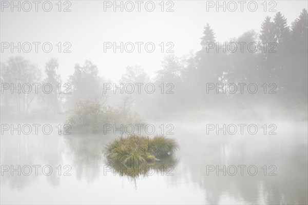 Autumn atmosphere at a pond in the Wildert nature reserve in Illnau