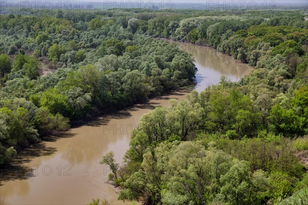 Kuban river