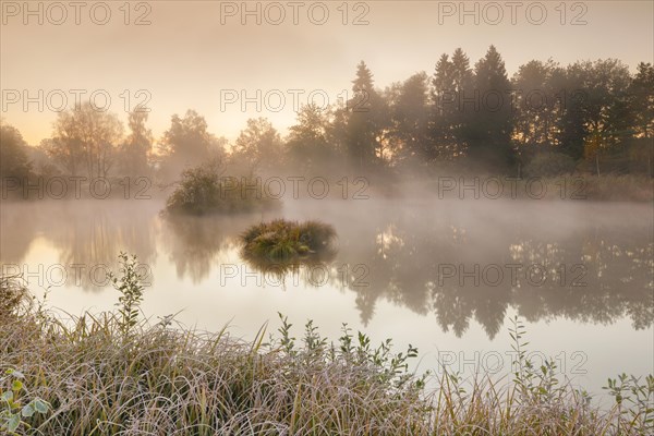 Autumnal morning mood at a pond in the nature reserve Wildert in Illnau