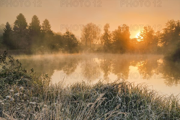 Autumnal morning mood at a pond in the nature reserve Wildert in Illnau