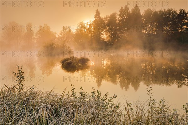 Autumnal morning mood at a pond in the nature reserve Wildert in Illnau