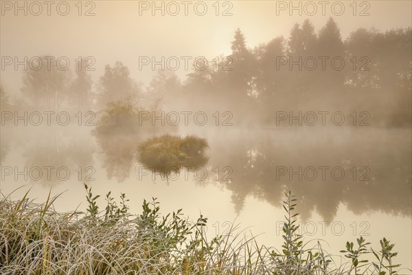 Autumnal morning mood at a pond in the nature reserve Wildert in Illnau