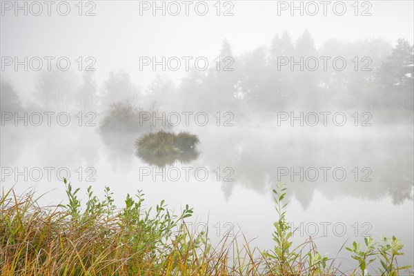 Autumn atmosphere at a pond in the Wildert nature reserve in Illnau