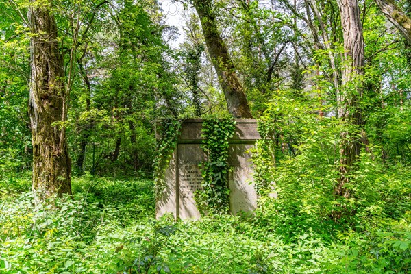 Historical cemetery Suedwestkirchhof Stahnsdorf