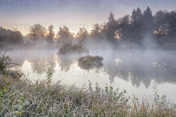 Autumnal morning mood at a pond in the nature reserve Wildert in Illnau