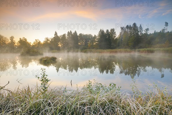 Autumnal morning mood at a pond in the nature reserve Wildert in Illnau