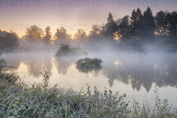 Autumnal morning mood at a pond in the nature reserve Wildert in Illnau