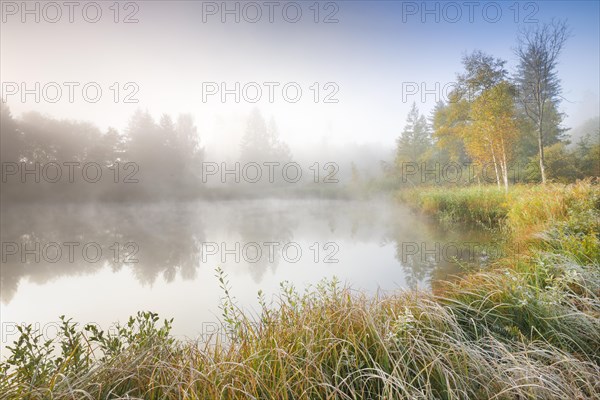 Autumn atmosphere at a tree-lined pond