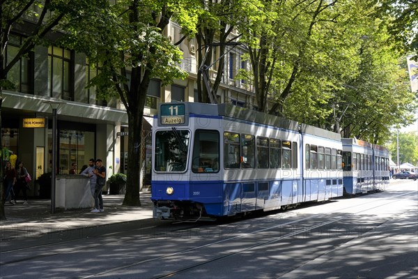 Blue Tram