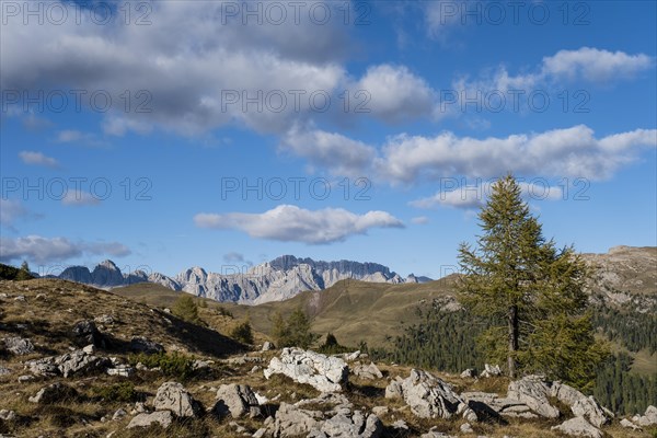 Mountain landscape in Parco Naturale Paneveggio Pale di San Martino