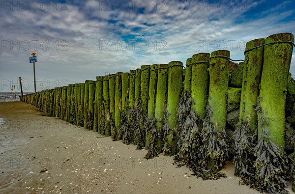 Groyne on the beach of Hooksiel