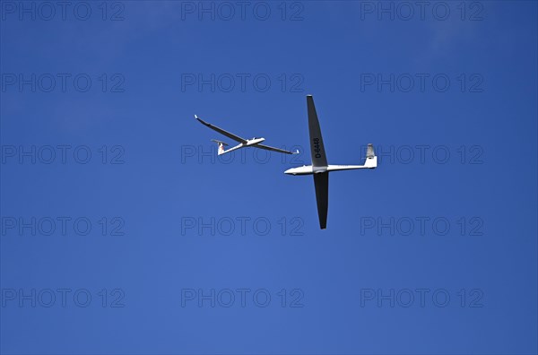 Two gliders cruising
