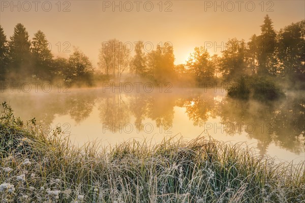 Autumnal morning mood at a pond in the nature reserve Wildert in Illnau