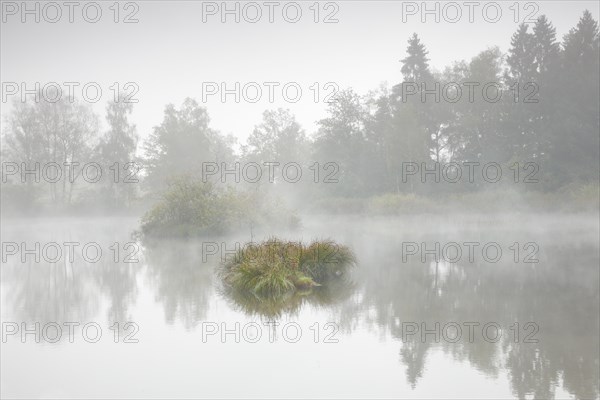 Autumn atmosphere at a pond in the Wildert nature reserve in Illnau