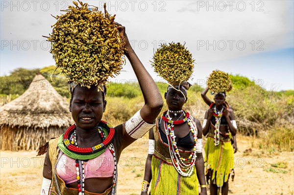 Girls with collected reeds on their heads on their way home