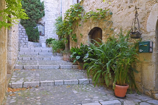 Cosy alleys and squares
