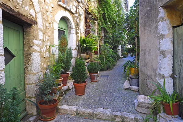 Cosy alleys and squares