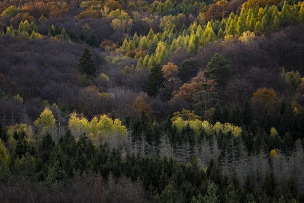 Autumn landscape