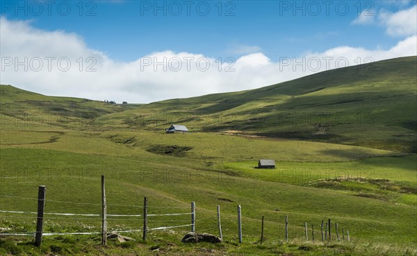 View of the Cezallier plateau