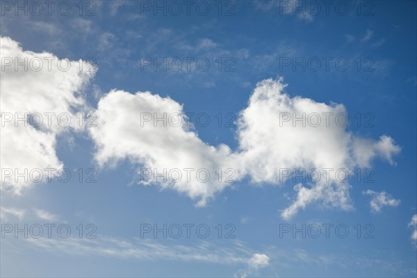 Feather and fleecy clouds adorn the blue sky in strong winds