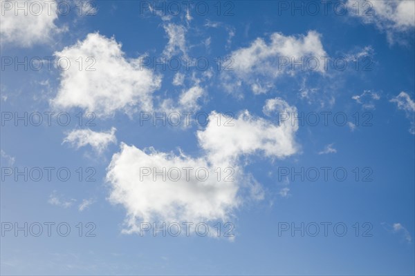 Feather and fleecy clouds adorn the blue sky in strong winds