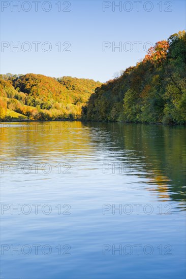 View from the riverbank near Eglisau of the Rhine fringed by colourful autumn forest