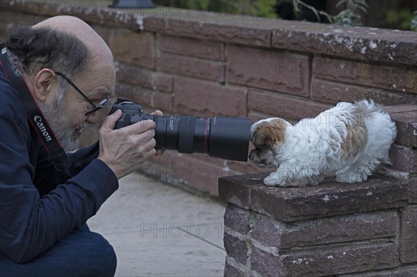 Older man photographing Bolonka Zwetna puppy