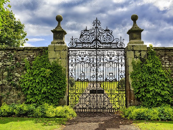 Ornate wrought iron garden gate