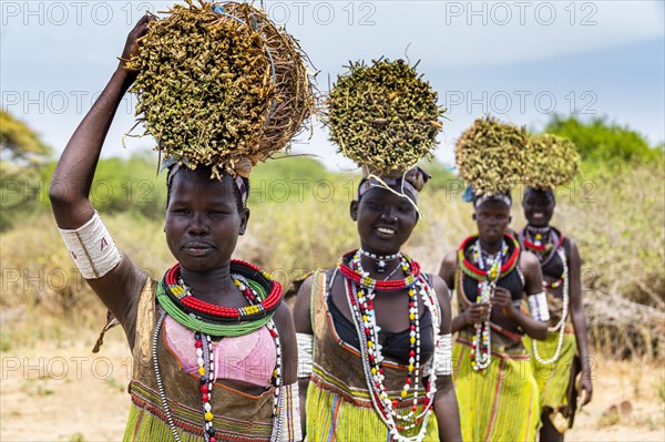 Girls with collected reeds on their heads on their way home