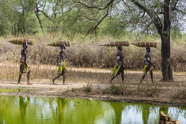 Girls with collected reeds on their heads on their way home