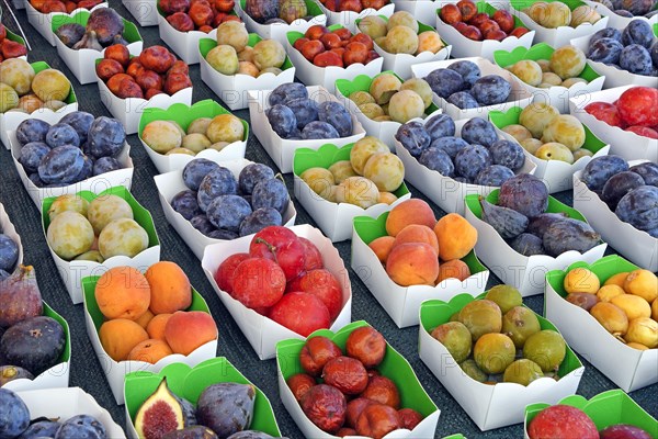 Fresh fruit and vegetables