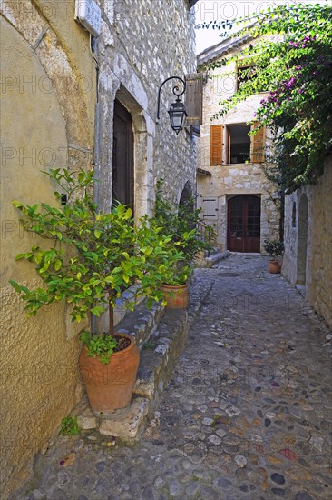 Cosy alleys and squares