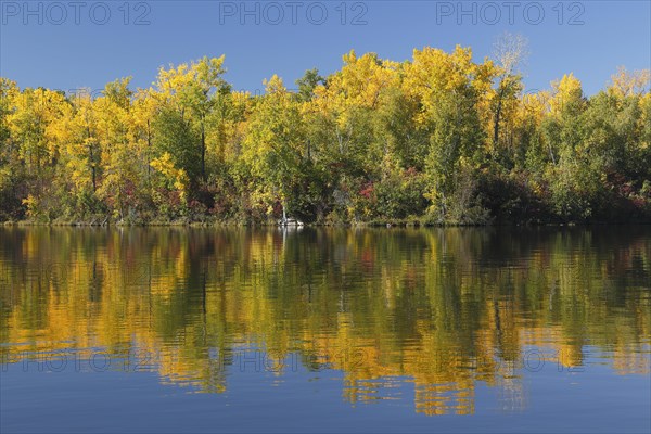 Autumn colours on Hamilton Island