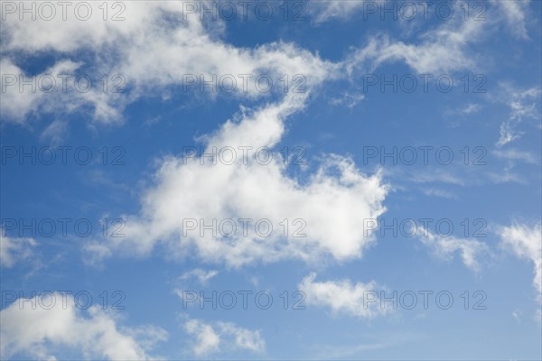 Feather and fleecy clouds adorn the blue sky in strong winds